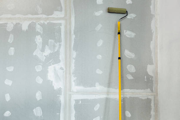 Best Industrial Mold Remediation  in New Cassel, NY