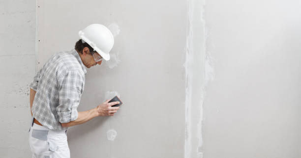 Best Mold Odor Removal Services  in New Cassel, NY