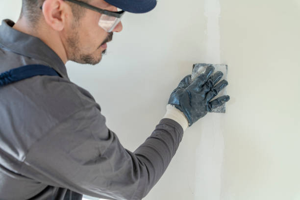Best Mold Remediation for Healthcare Facilities  in New Cassel, NY