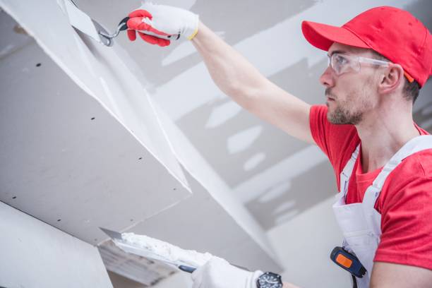 Best Asbestos and Lead Testing During Mold Inspection  in New Cassel, NY